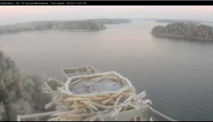 Seili osprey sääksi kalasääski