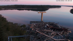 Seili osprey sääksi